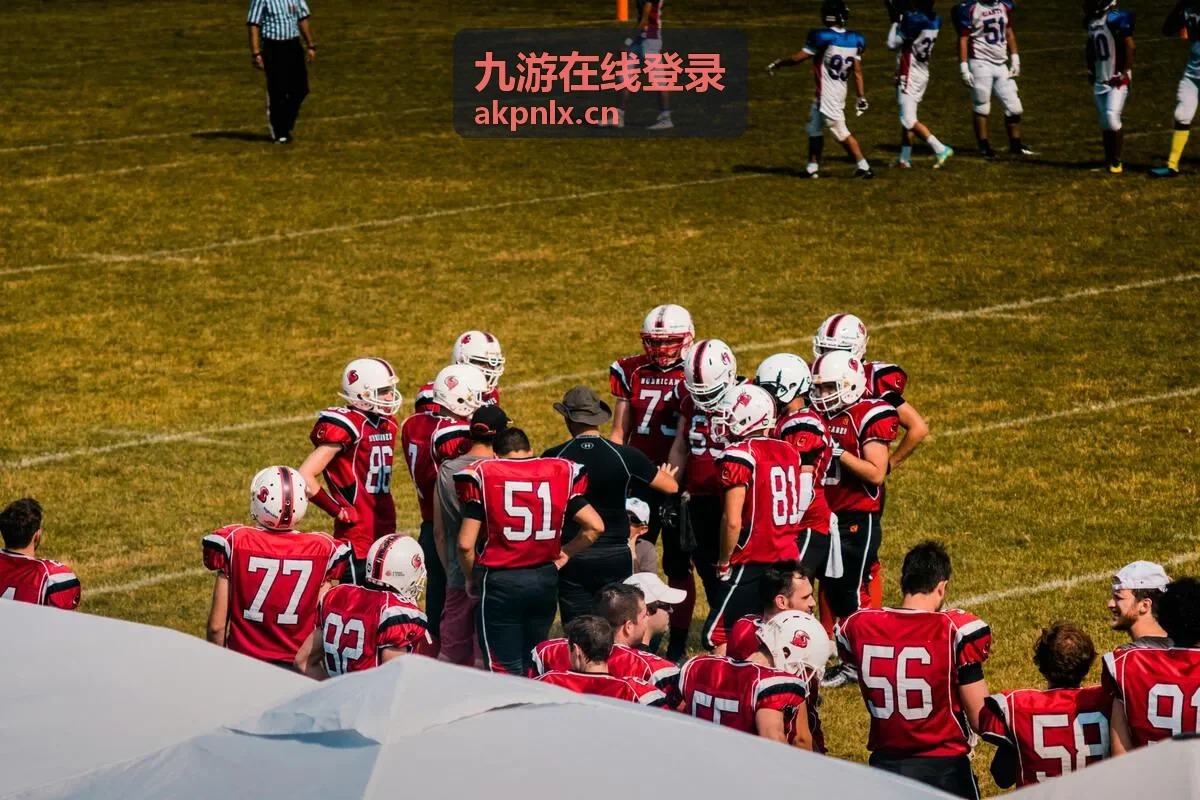 九游在线登录客户端账号登录界面示意