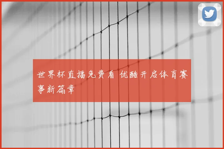 世界杯直播免费看 优酷开启体育赛事新篇章