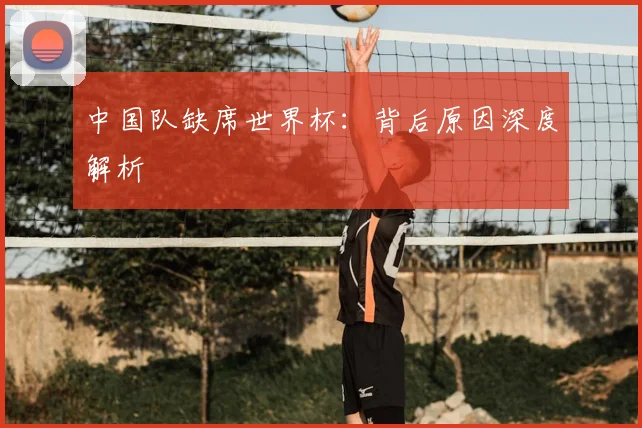 中国队缺席世界杯:背后原因深度解析