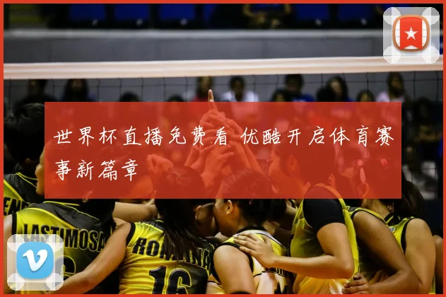 世界杯直播免费看 优酷开启体育赛事新篇章