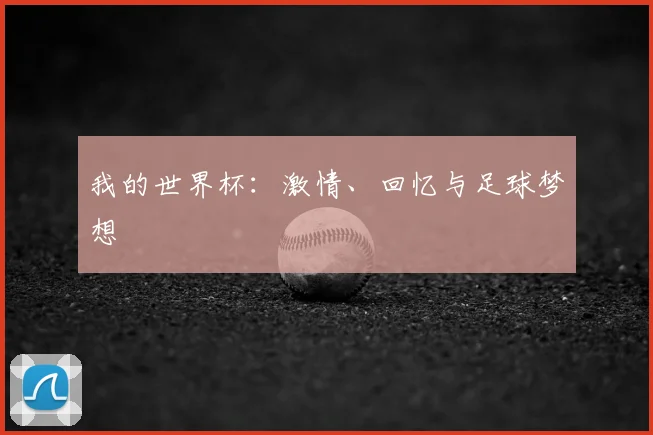 我的世界杯：激情、回忆与足球梦想